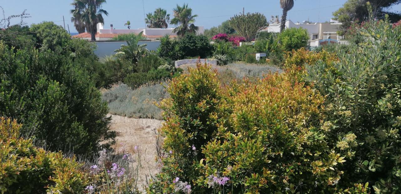 I Mirti - Home Holiday Marina di Mancaversa Εξωτερικό φωτογραφία